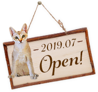 2019.07 OPEN